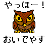 ف[Ił₷s݂񂳂̂got